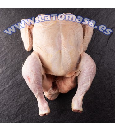 POLLO ENTERO. (±)2,2Kg
