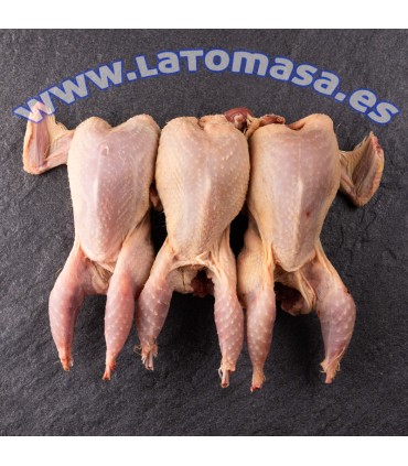 CODORNIZ  4 unidades