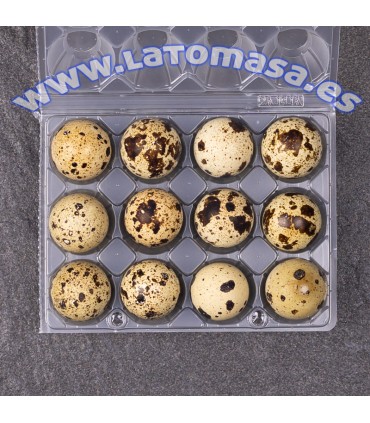 HUEVOS DE CODORNIZ docena