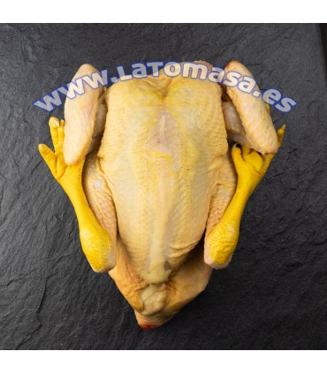 POLLO DE CORRAL (±)2,8Kg